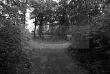 russ_garnission_2011-05.29_21