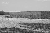 sandwaschanlage-001