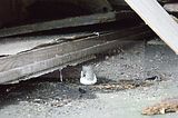 stock-room-014