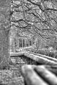 tannenfeld-herbst-2011-007
