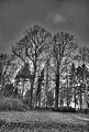 tannenfeld-herbst-2011-015