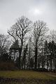 tannenfeld-herbst-2011-016
