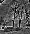 tannenfeld-herbst-2011-021