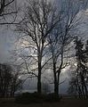 tannenfeld-herbst-2011-022