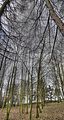 tannenfeld-herbst-2011-023