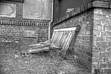 tannenfeld-herbst-2011-037