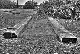 tannenfeld-herbst-2011-039