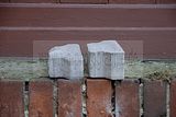 tannenfeld-herbst-2011-044