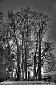 tannenfeld-herbst-2011-051