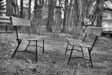 tannenfeld-herbst-2011-057