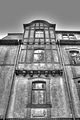 tannenfeld-herbst-2011-059