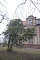 tannenfeld-herbst-2011-064