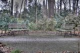 tannenfeld-herbst-2011-065