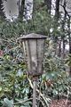 tannenfeld-herbst-2011-069