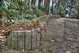 tannenfeld-herbst-2011-071