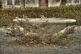 tannenfeld-herbst-2011-111