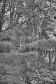 tannenfeld-herbst-2011-121