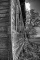 tannenfeld-herbst-2011-133