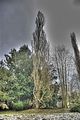 tannenfeld-herbst-2011-141