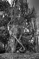 tannenfeld-herbst-2011-143
