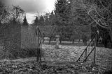 tannenfeld-herbst-2011-153