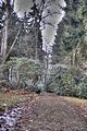tannenfeld-herbst-2011-159