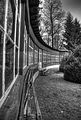 tannenfeld-herbst-2011-167