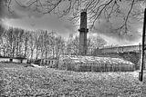 tannenfeld-herbst-2011-173