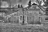 tannenfeld-herbst-2011-175
