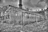 tannenfeld-herbst-2011-179