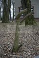 tannenfeld-herbst-2011-182