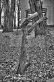 tannenfeld-herbst-2011-183