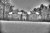 tannenfeld-winter-011