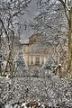 tannenfeld-winter-013