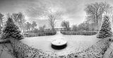 tannenfeld-winter-017