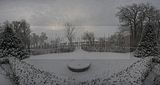 tannenfeld-winter-018