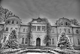 tannenfeld-winter-021