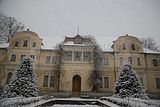 tannenfeld-winter-022