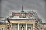 tannenfeld-winter-023