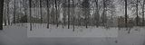 tannenfeld-winter-028