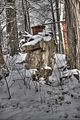 tannenfeld-winter-029