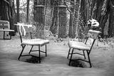 tannenfeld-winter-031