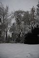 tannenfeld-winter-034