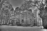 tannenfeld-winter-037