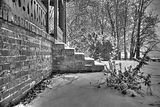 tannenfeld-winter-041