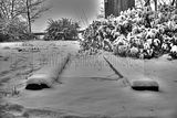 tannenfeld-winter-043