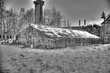 tannenfeld-winter-047