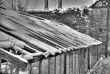 tannenfeld-winter-049