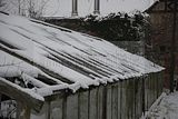 tannenfeld-winter-050