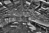 tannenfeld-winter-051